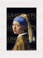 Reprodukce obrazu The Girl a Pearl Earring Jan Vermeer