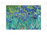 Reprodukce obrazu Irises Vincent Van Gogh