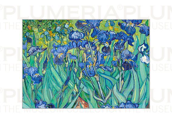 Plumeria Reprodukce obrazu Irises Vincent Van Gogh