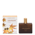 Unisex parfém Ambraliquida 50ml