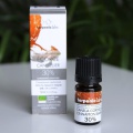 Esenciální olej skořice cejlonská kůra BIO (30 % cinnamaldehydu) (vnější &amp; vnitřní užití) 5 ml