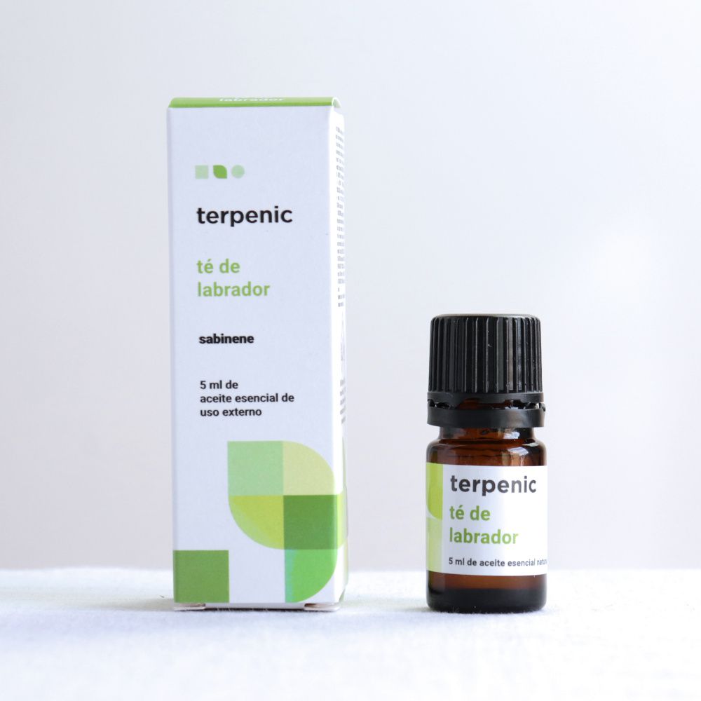 Terpenic Esenciální olej ledum (rojovník grónský, labradorský čaj) 5ml