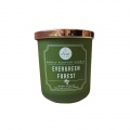 VONNÁ SVÍČKA VE SKLE Evergreen Forest 269g